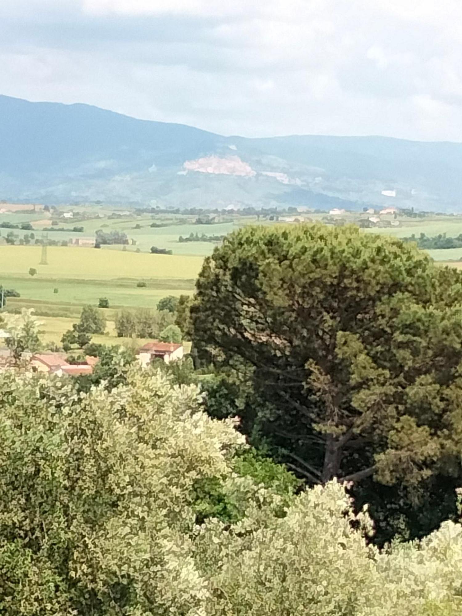 Villa Spaccasole Su Cortona Foiano Della Chiana Exterior foto