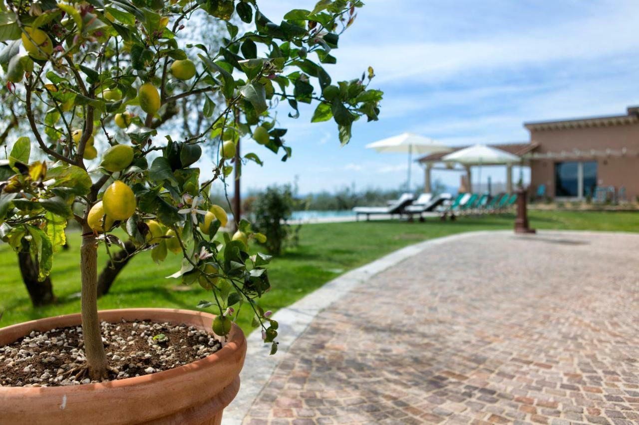 Villa Spaccasole Su Cortona Foiano Della Chiana Exterior foto