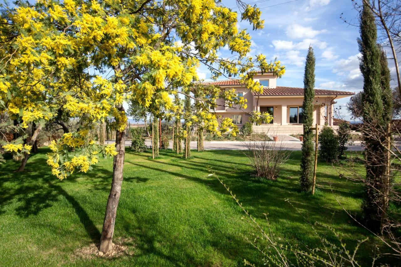 Villa Spaccasole Su Cortona Foiano Della Chiana Exterior foto